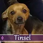tinsel
