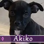 akiko