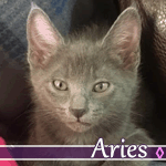 aries