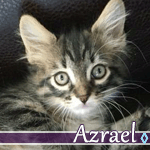 azrael