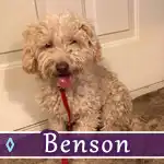 benson