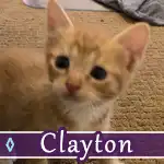 clayton