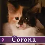 corona