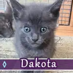 dakota