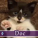 doc