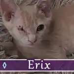 erix