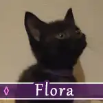 flora