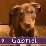 gabriel