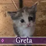 greta