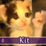 kit