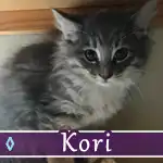 kori