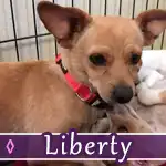 liberty