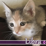 libra