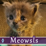meowsels