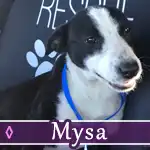 mysa