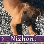 nizhoni