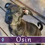 osin