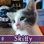 skitty