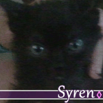 syren