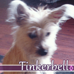 tinkerbell