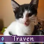 traven