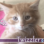 twizzler