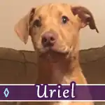 uriel